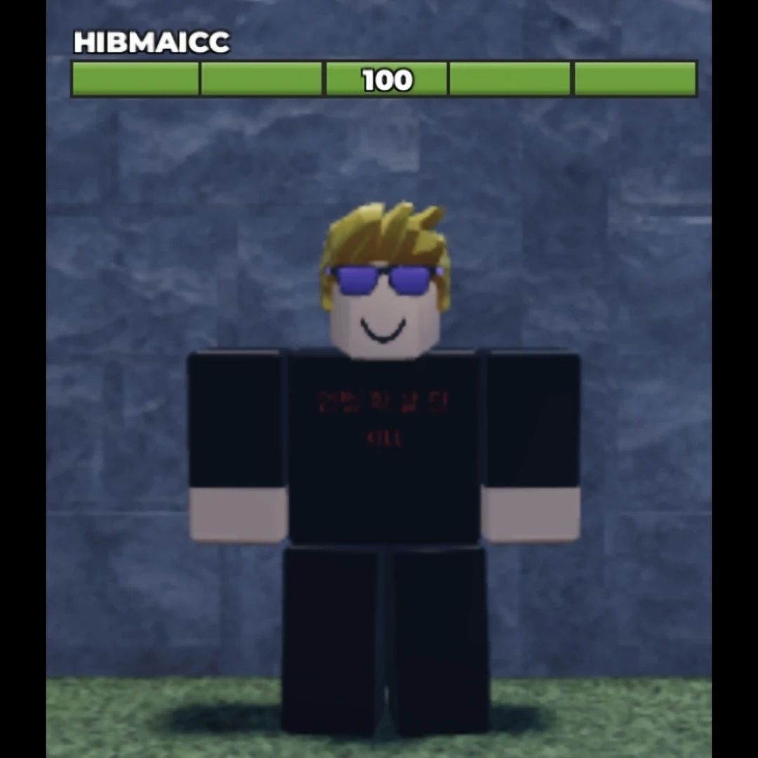 HIBMAICC.