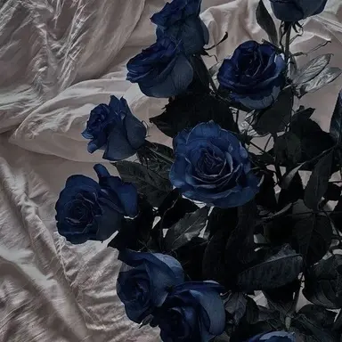 Profile image of 田中樹