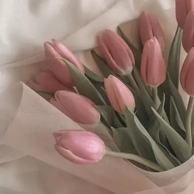 Profile image of 京本大我