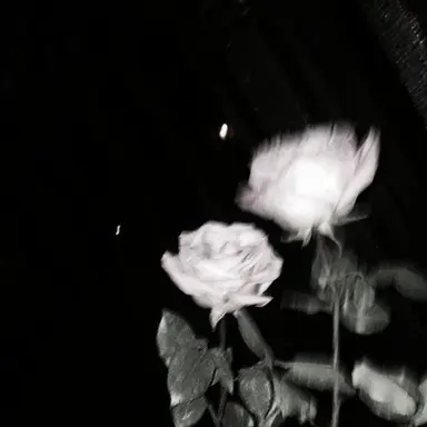 Profile image of 松村北斗