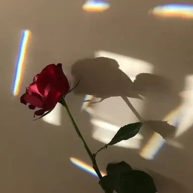 Profile image of ジェシー