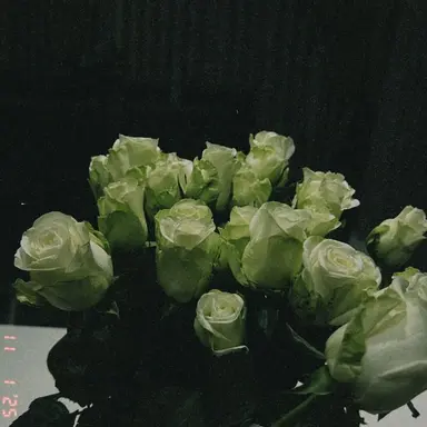 Profile image of 森本慎太郎