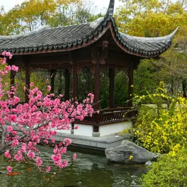 Profile image of 오란