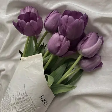 Profile image of 황수현