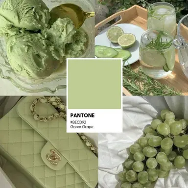 Profile image of 지헌