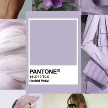 Profile image of 지원