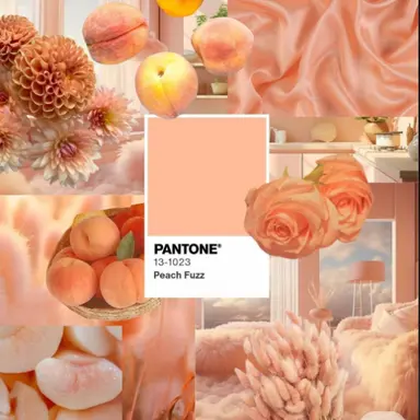 Profile image of 서연