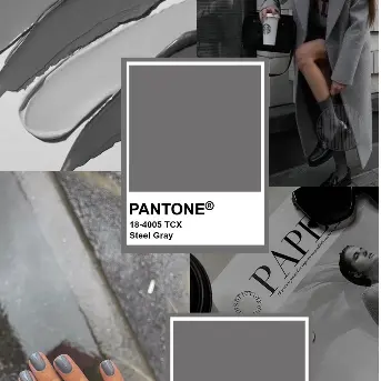 Profile image of 지선