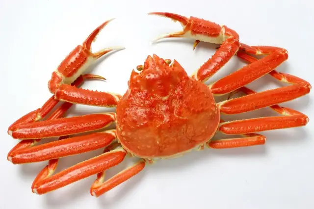 Profile image of じゃぱぱ