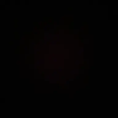 Profile image of R