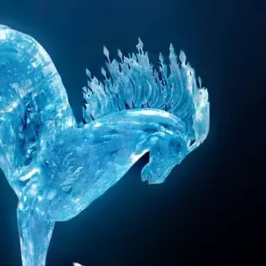 Profile image of ノック