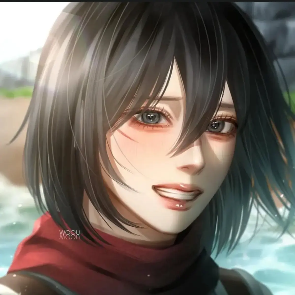 Levi_steal30cm의 미카사