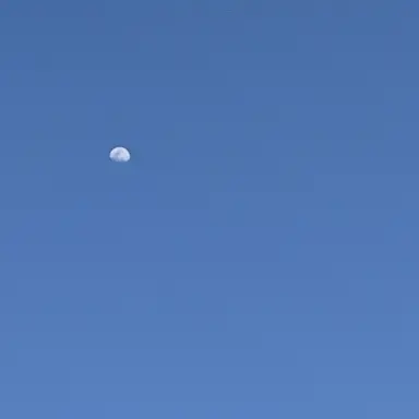 Profile image of 유기사