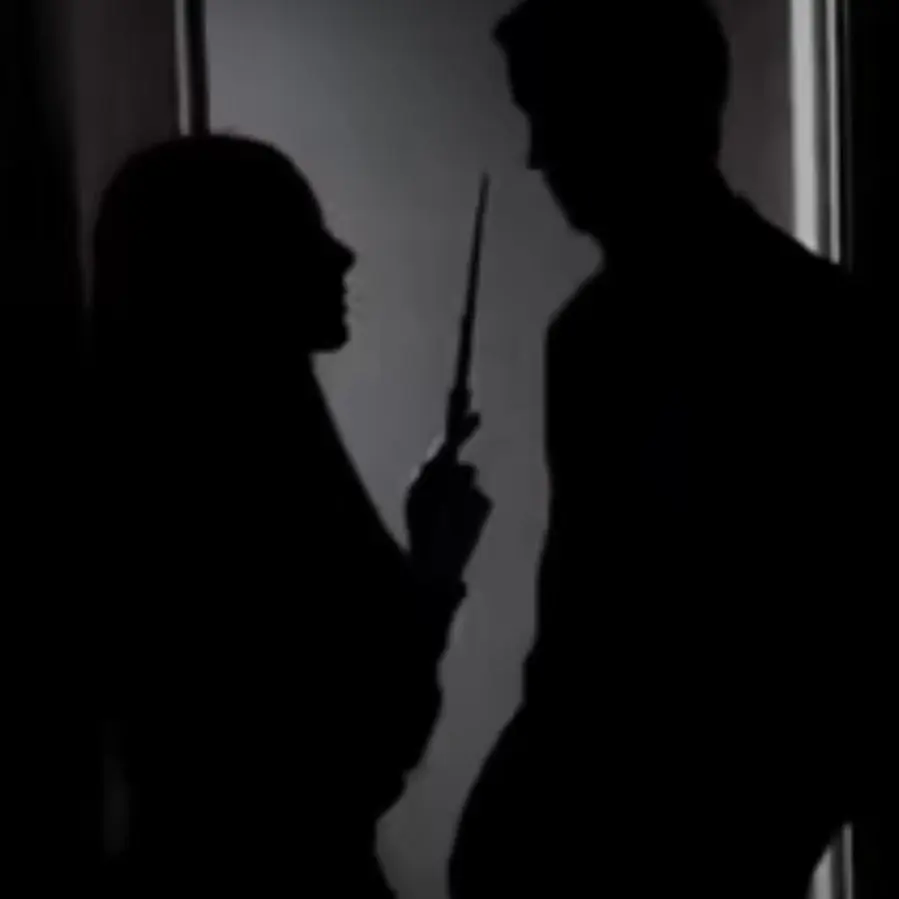 ThinStaff0323의 You & ur enemy are partners in being assassin
