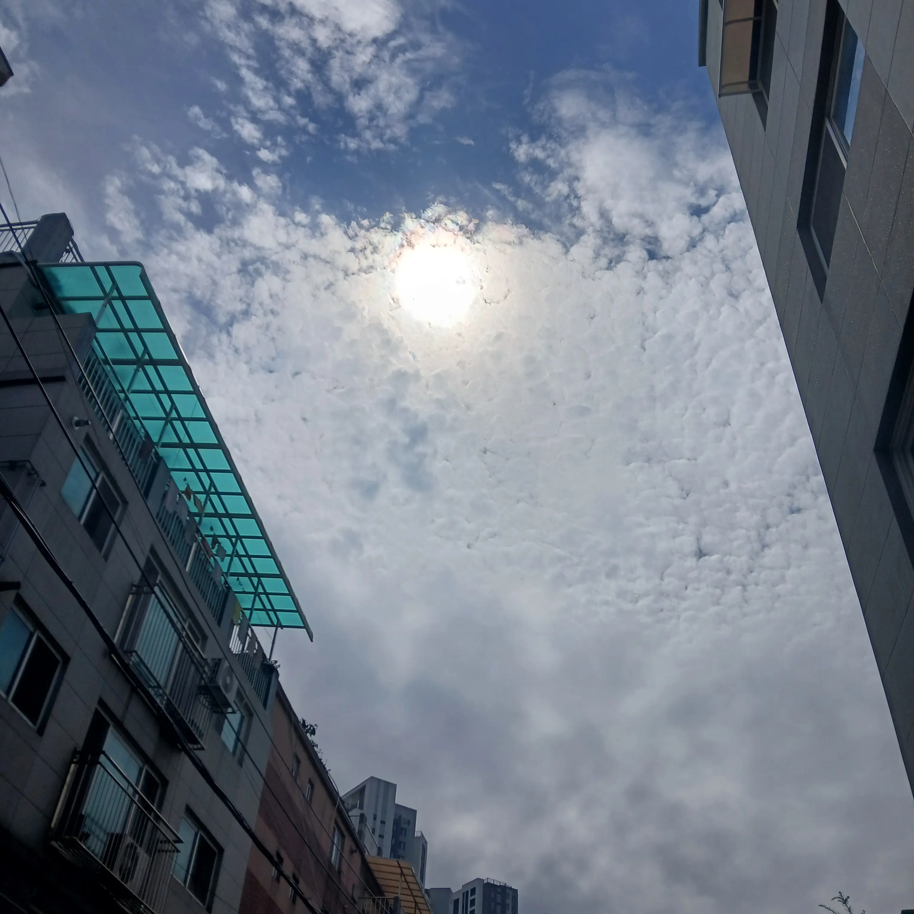 SmugLargo5902의 꼭 읽어보세요🥰