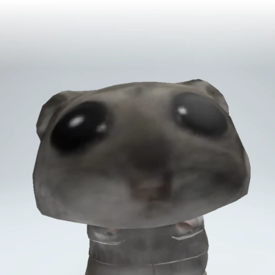 햄찌