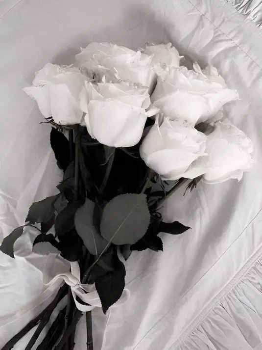 mo-tann_의 ♡