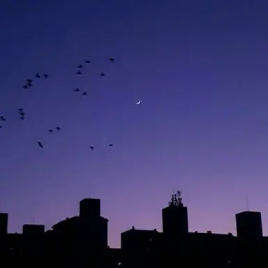 Profile image of 수현