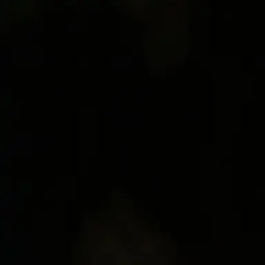 Profile image of 유예나