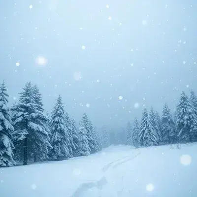 BoneProbe3465의 PHIGHTING-Blizard