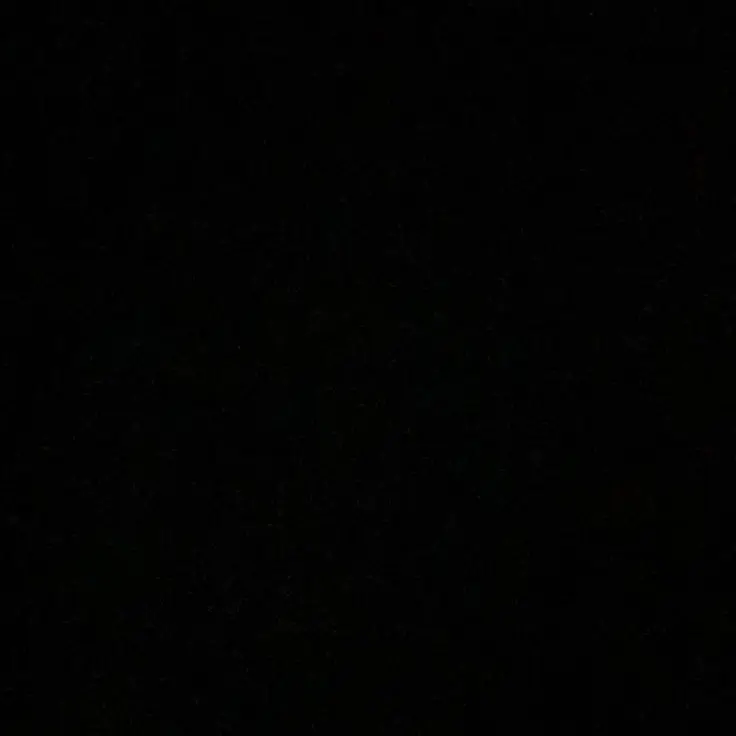 CleanSnail5944의 야, 순애의 뜻이 뭔지 알아?