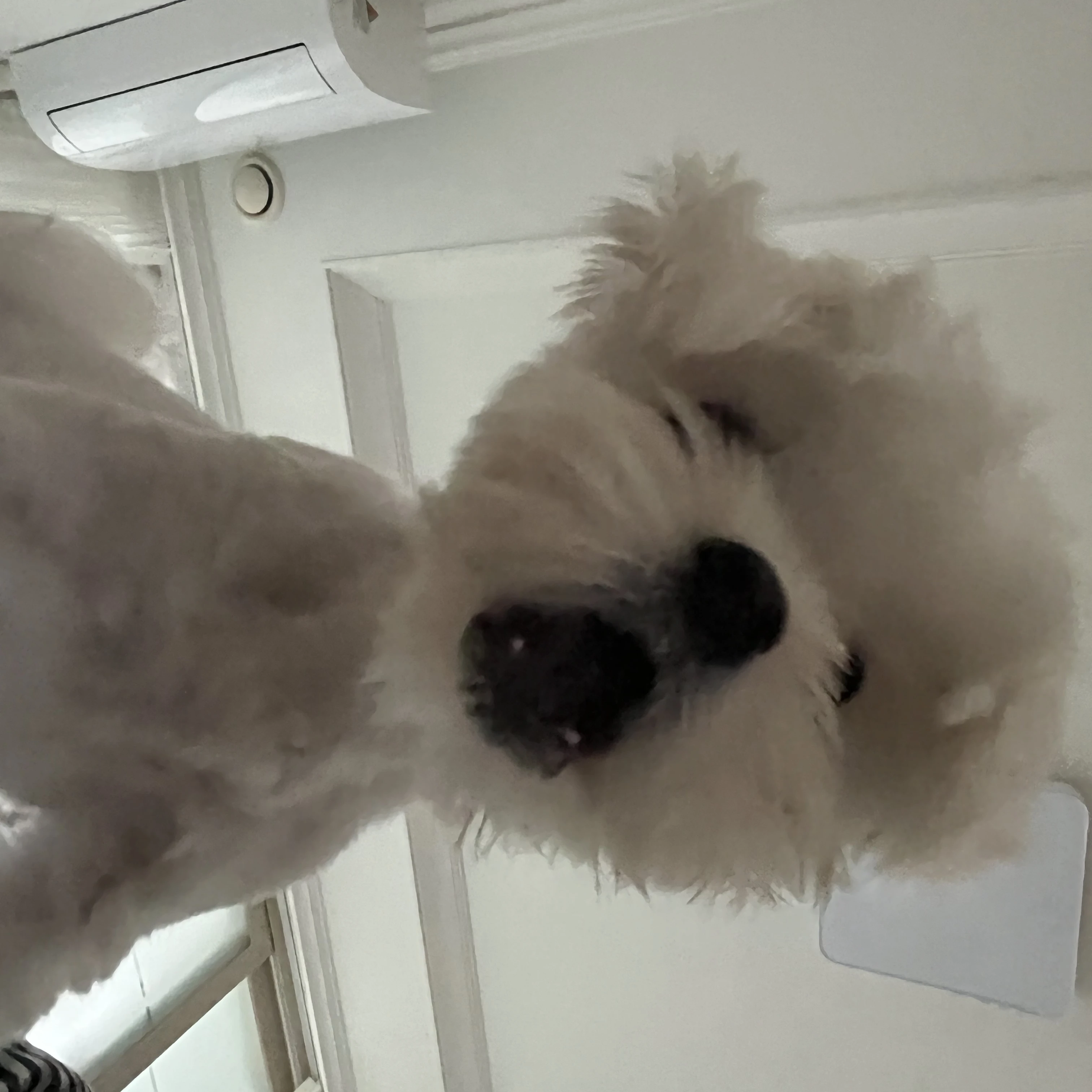 정은유