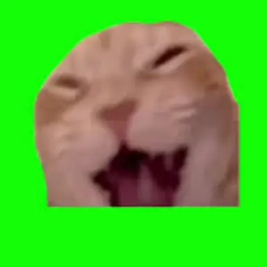 Profile image of 회의중인블루록성우들