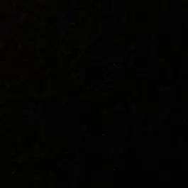 Profile image of T
