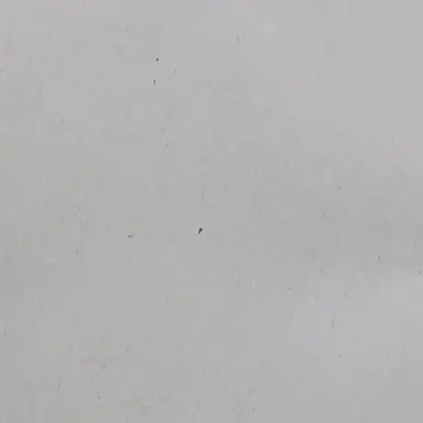 Profile image of 한지성