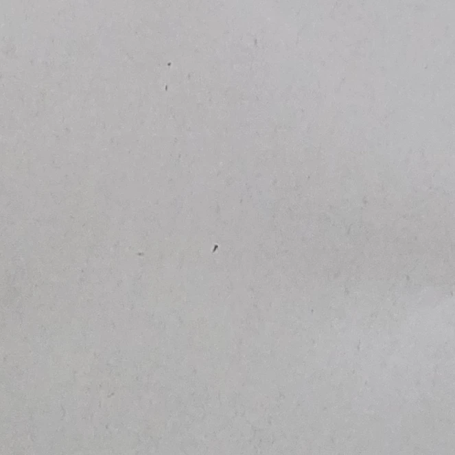 한지성