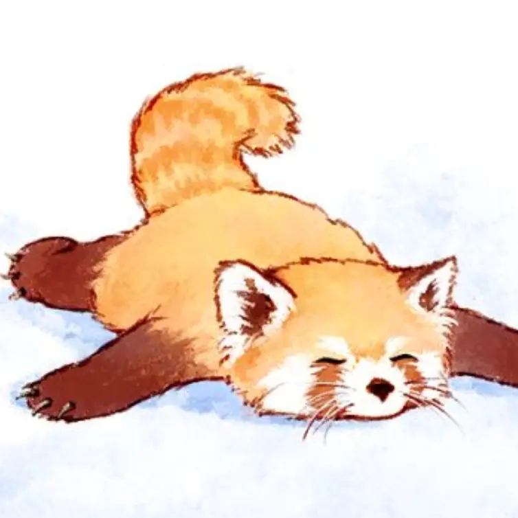 hookuaizToken1643의 レッサーパンダ