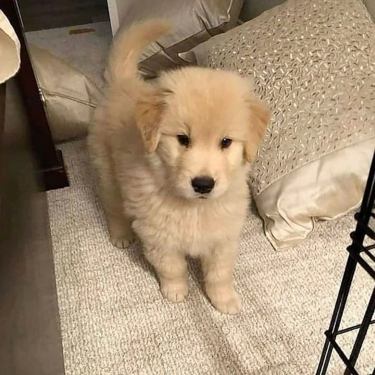 김승민