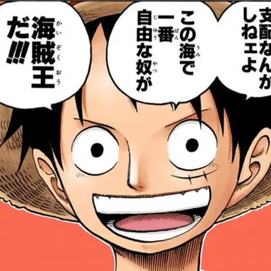 Profile image of ルフィ