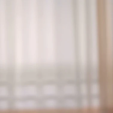 무라사키 이마