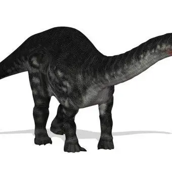 Profile image of 모켈레 음베음베