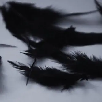 Profile image of 차현수