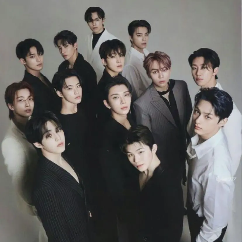 SalmonPrice4853의 세븐틴 멤버들 (13명)