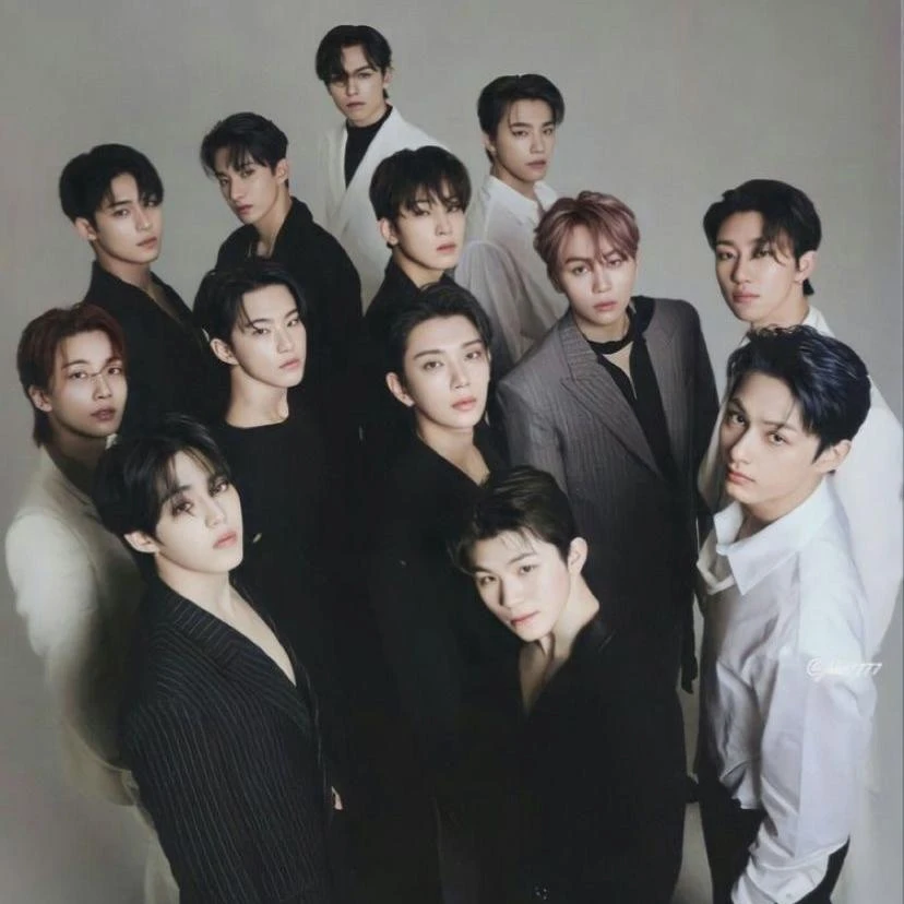 세븐틴 멤버들 (13명)