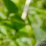Profile image of 박점례