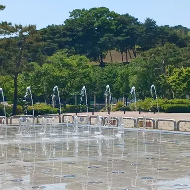 Profile image of 로보