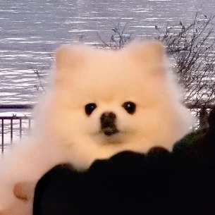 悠佑