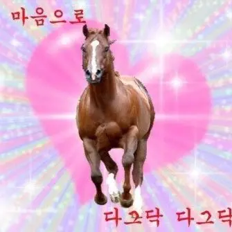 Profile image of 냥즈코