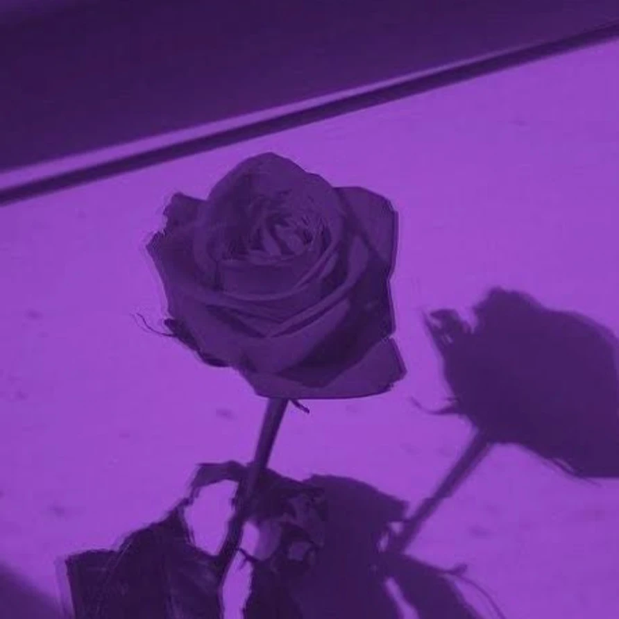 ex.단아