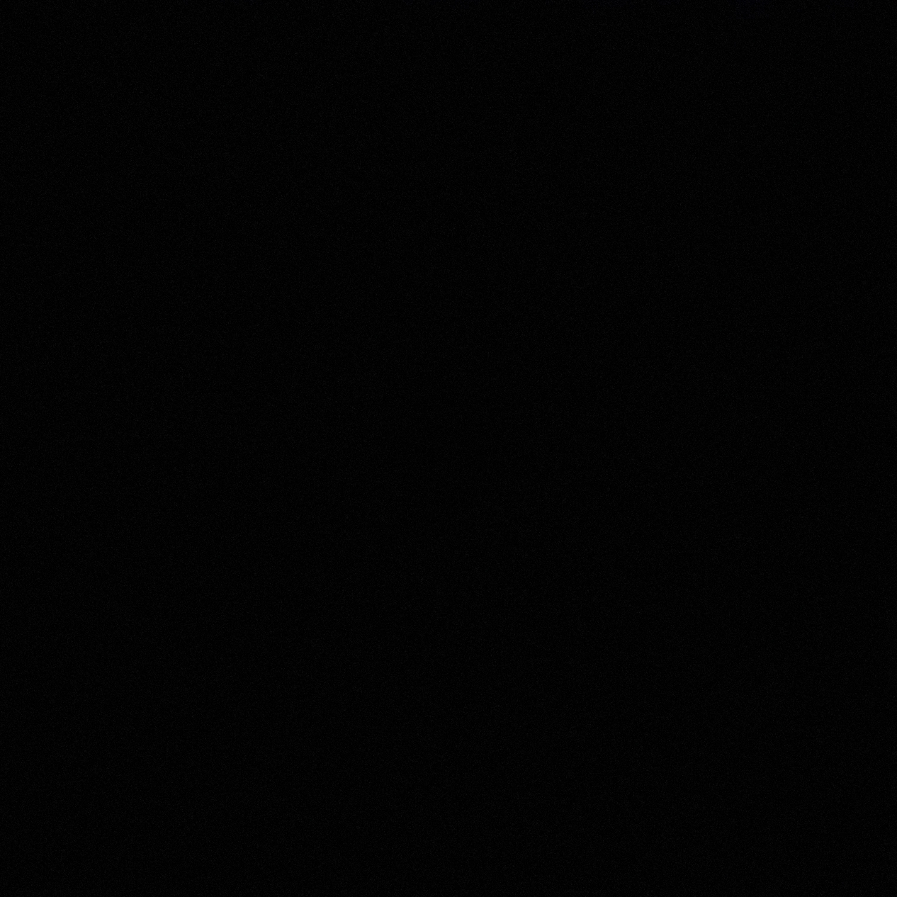 베일리
