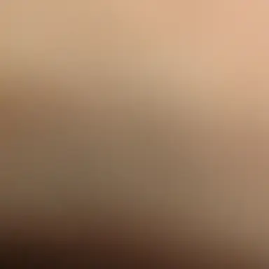 Profile image of ハンス