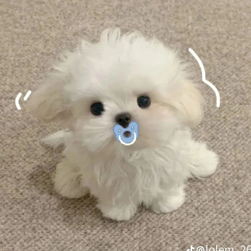ColdRobe7295의 당산의 비밀을 알게된 잠뜰
