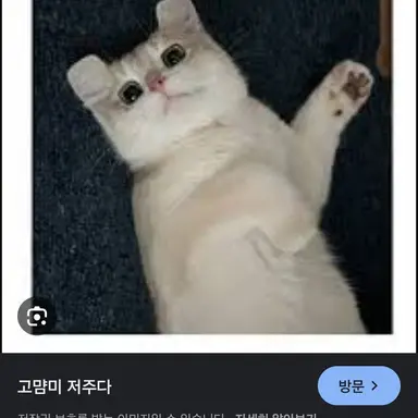 Profile image of 먐미