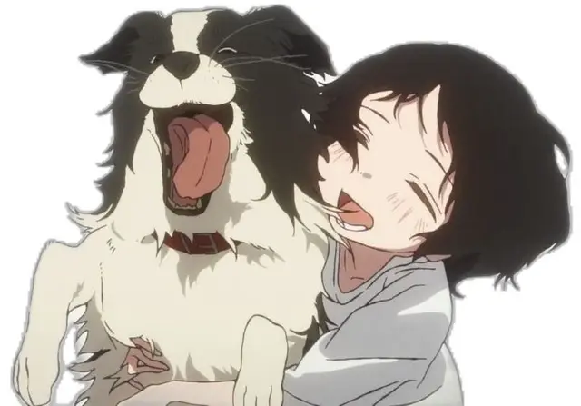 Profile image of 챠피