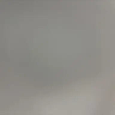 Profile image of M