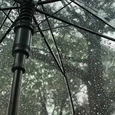 Profile image of 이현우